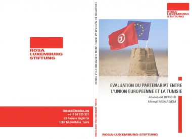 Read more about the article Evaluation of the partnership between the European Union and Tunisia